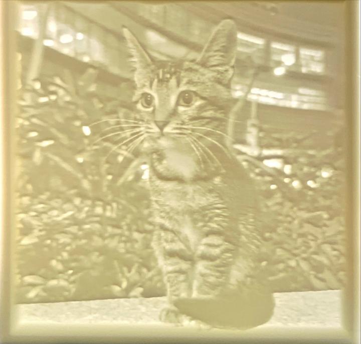 BAMBU LAB - CPO "SPAGHETTI" THE CAT LITHOPHANE