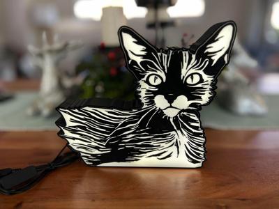 Lyoki Cat inspired LED lightbox.