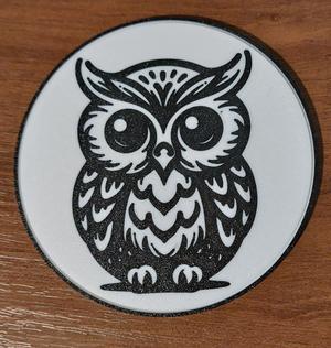 Owl coaster