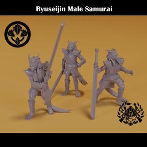 Ryuseijin Male Samurai