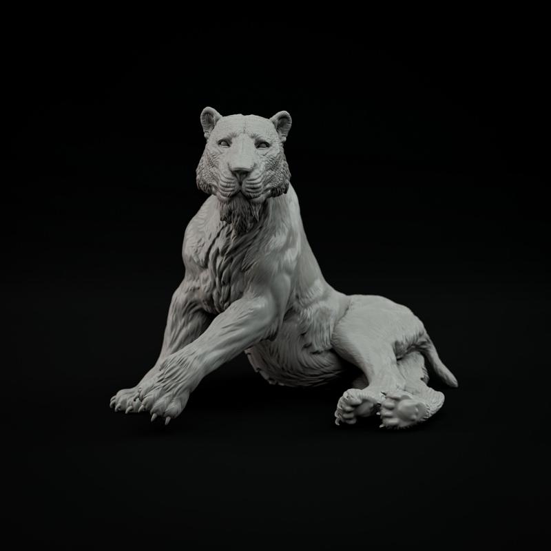 Homotherium resting 1-20 scale pre-supported prehistoric animal