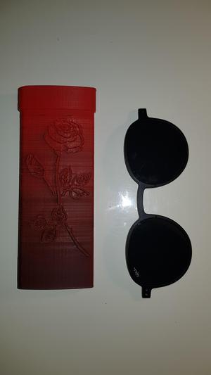 Glasses clip case