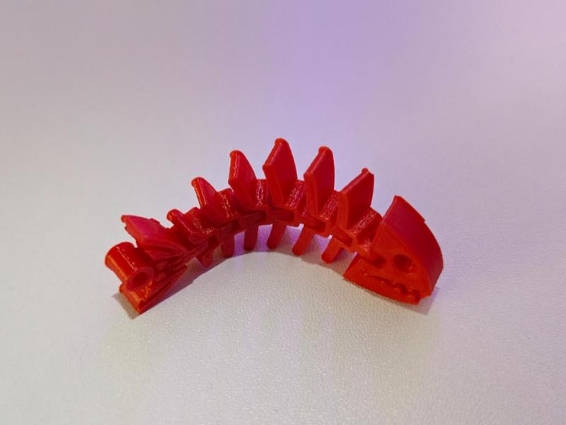 Print in Place Fish Skeleton