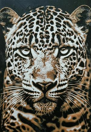 Leopard face