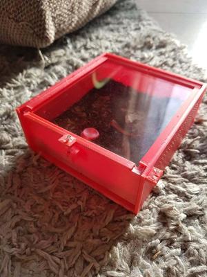 Spinnen/Spiderling-Terrarium für Bodenbewohner