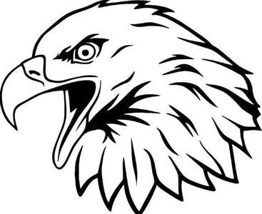 eagle