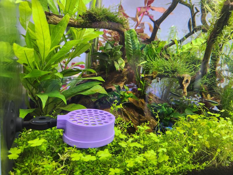 Cucumber Snail Trap Suction Cup Mount