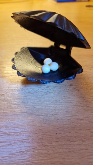 Shell 3  with the locking of the position