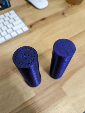 Tooth Brush Holder/Case Travel