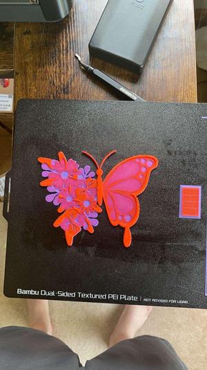 HueForge Butterfly