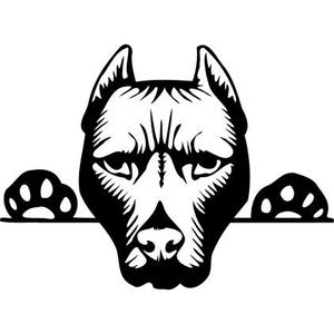 Sad  Dog 2d wall art