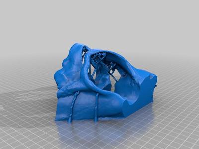 shaman mask simplifed stl 