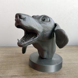 Dachshund, Dachshund, Dachshund, Dachshund, dachshund, teckel