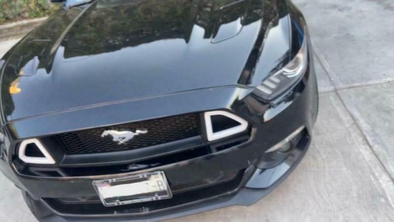 Mustang Case
