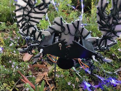 Animated Christmas Crab light