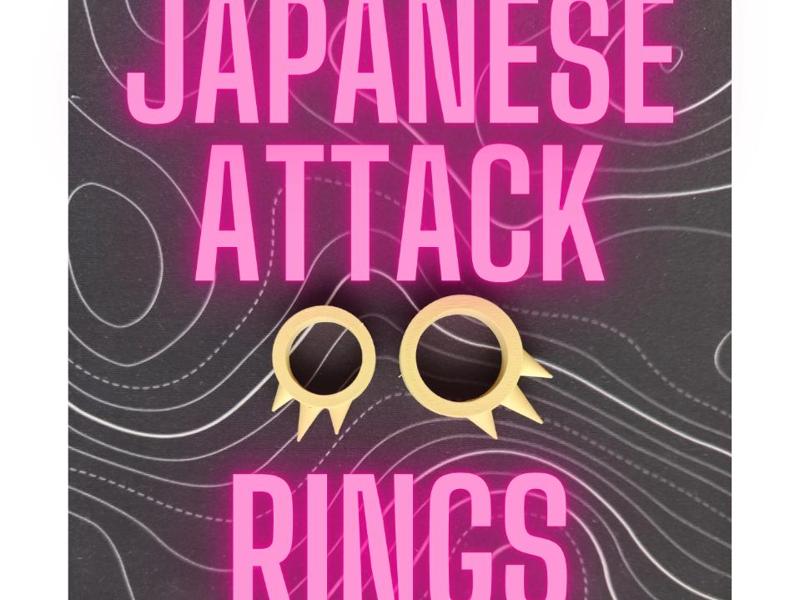 kakute (japanese weapon rings)