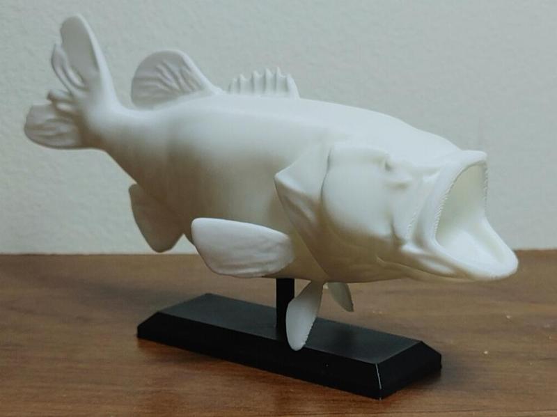 Largemouth Bass Fish Mount 2