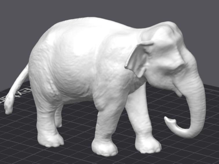 Elephant (Scan Revopoint Pop 3)
