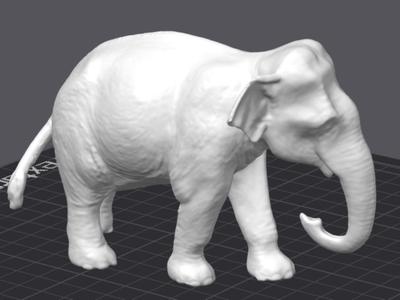 Elephant (Scan Revopoint Pop 3)