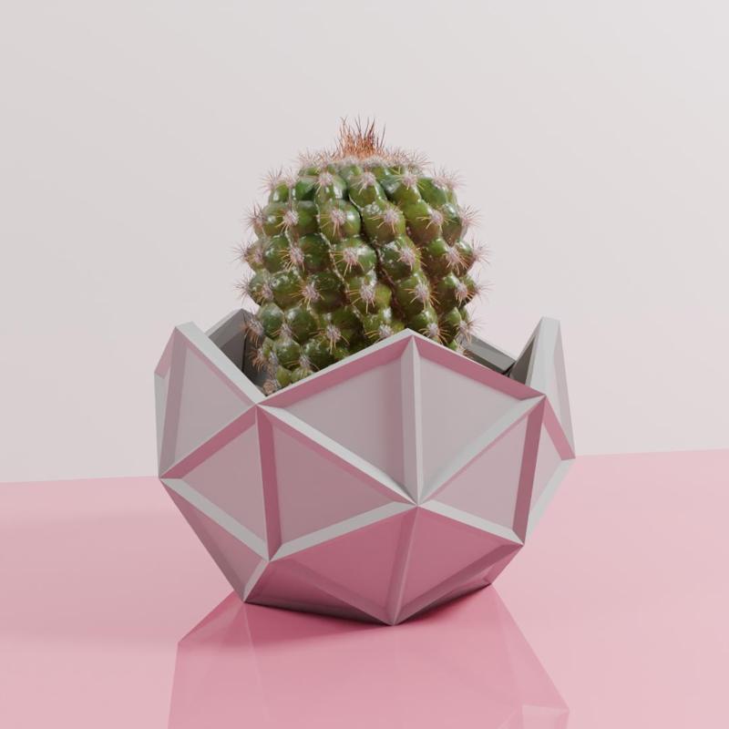 Geodesic cactus pot planter