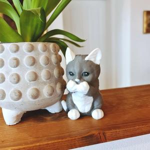 litl Cat