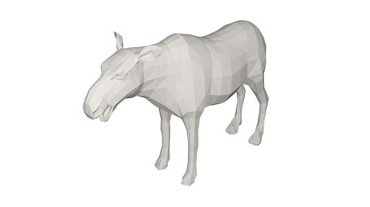 Mosse Wild animal