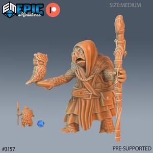 Turtle Folk Tribe Druid ‧ DnD Miniature ‧ Tabletop Miniatures ‧ Gaming Monster ‧ 3D Model ‧ RPG ‧ DnDminis ‧ STL FILE