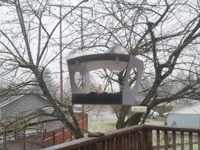 Window Bird Feeder (Cats Love It)