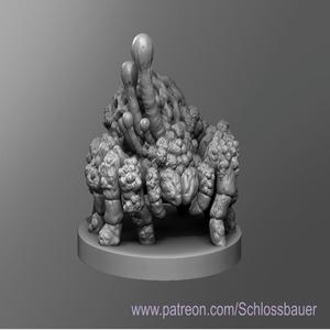 Fungus Spider