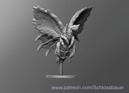 Cadaver Moth