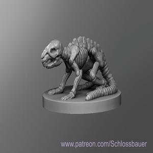 Rat Skeleton
