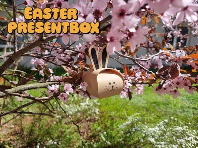 Easter Box Rabbit
