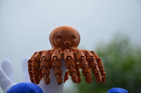 XXL octopus with 16 tentacles   