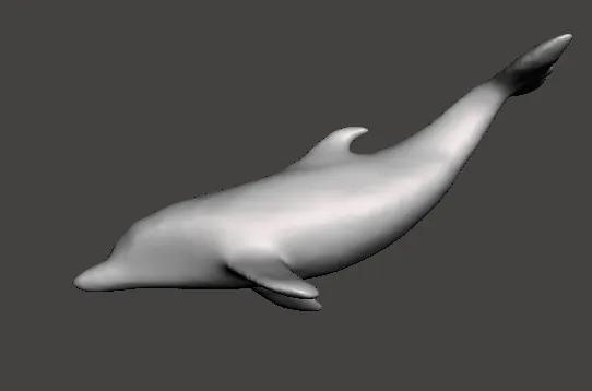 Dolphin   