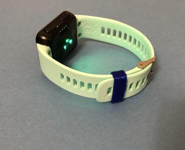 Garmin Forerunner 215 watchband retainer