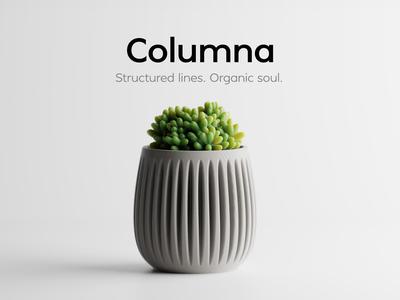 Columna – Structured lines. Organic soul.