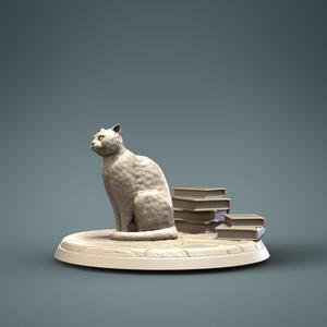 Cat 2