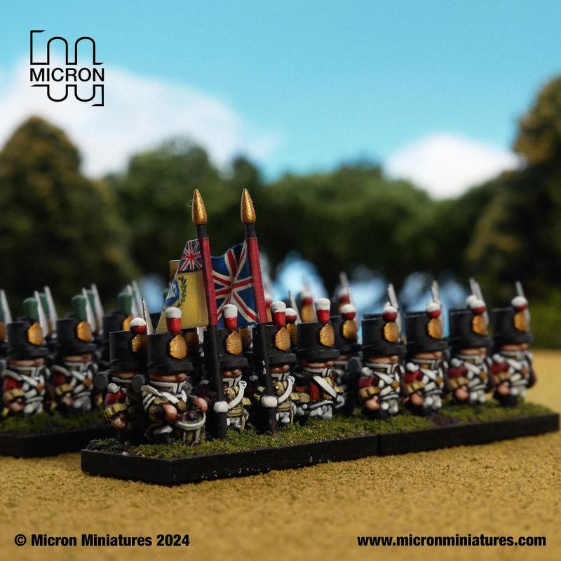 6mm Napoleonic: British Infantry