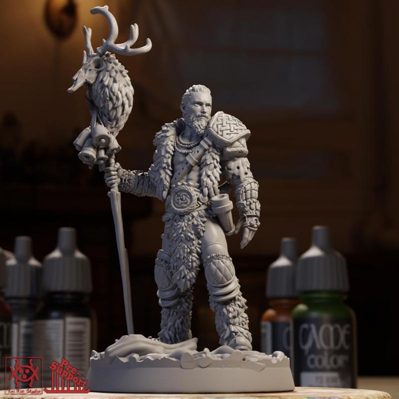 Adventurer - Male Druid