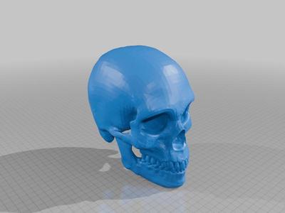 Human Skull