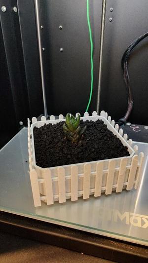 Vaso de Planta Jardim -  Garden Plant Pot