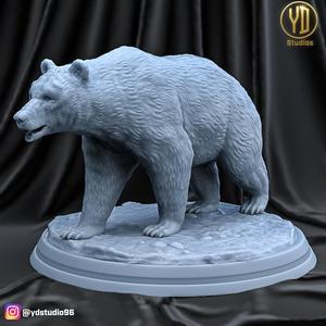 BEAR