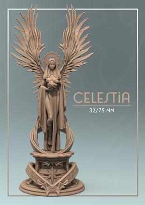 Celestia 32mm and 75mm