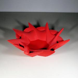 Echo Bowl