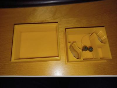 Starkey Genesis Hearing Aid Holder