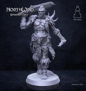 Barbarian Half-Orc