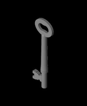 Coach Key - Standard