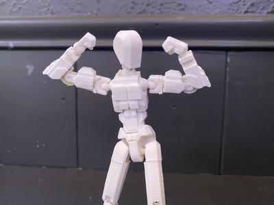 Strong Dummy 13