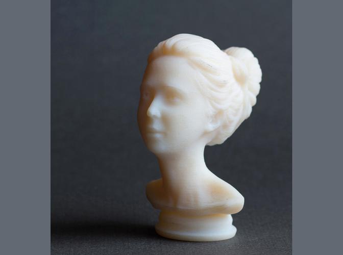 Female Bust