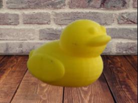Duck.